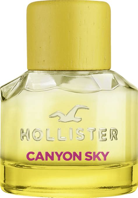 rossmann hollister parfum